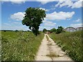 Concrete farm road at Wolseyhouse Farm