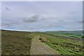 NZ0036 : The Weardale Way along the boundary of open access land on Catterick Moss by Tim Heaton