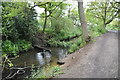 Beverley Brook