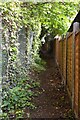 Fenced in footpath