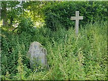 SO8752 : Cross and tombstone in the nettles by Jeff Gogarty