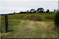 Newly spread slurry, Fernaghandrum