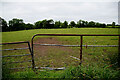 Rusty gate, Killadroy