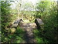 Hump-backed bridge