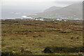 F6205 : Moorland, Achill Island by N Chadwick