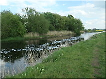 SK1904 : Pollution on the River Tame, Tamworth by Christine Johnstone