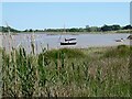 Alde estuary