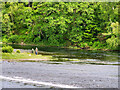 NH6139 : Fishermen on the River Ness by David Dixon
