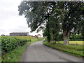 Heol ger Cothi Vale / Road near Cothi Vale