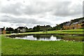 Warmington Village Pond