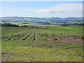 Field above St Fink