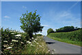 A Slope near Hannington