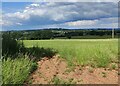 Farmland at Romsley