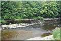 River Wharfe below Otley Weir