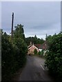 Telegraph pole in Mill Lane