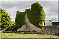 N0063 : Castles of Leinster: Formoyle, Longford (2) by Mike Searle