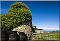 N4377 : Castles of Leinster: Carlanstown, Westmeath by Mike Searle