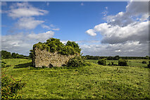 N4541 : Castles of Leinster: Castlelost, Westmeath (1) by Mike Searle
