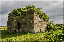 N4541 : Castles of Leinster: Castlelost, Westmeath (2) by Mike Searle