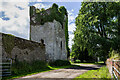 N7541 : Castles of Leinster: Newcastle, Meath (3) by Mike Searle