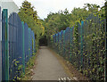 Cycle path at an entrance to Frog Pond Wood Local Nature Reserve, Pyle