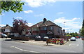 Houses on Shooters Hill Road