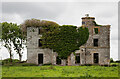 N6154 : Ireland in Ruins: Grangemore House, Co. Westmeath (4) by Mike Searle