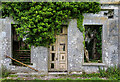 N6154 : Ireland in Ruins: Grangemore House, Co. Westmeath (8) by Mike Searle