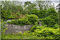N3370 : Ireland in Ruins: Daramona House, Co. Westmeath (7) by Mike Searle