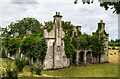 N9796 : Ireland in Ruins: Glyde Court, Co. Louth (2) by Mike Searle