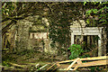 N9796 : Ireland in Ruins: Glyde Court, Co. Louth (8) by Mike Searle