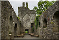 N5676 : Loughcrew Gardens, Co. Meath - late-medieval church (2) by Mike Searle