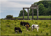 N5676 : Loughcrew Gardens, Co. Meath - Loughcrew House portico by Mike Searle