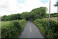 The B3315 near Trevelloe