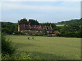 TQ6268 : Crop field towards Martindown Cottages by JThomas