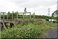 Old Bridge at Oliver Road