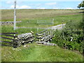 The Pennine Way near Greenriggs