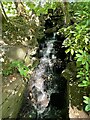 Small waterfall in Endcliffe Park