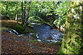 The Fairy Glen Walk - Rostrevor River