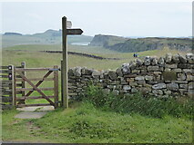 NY7567 : The Pennine Way & Hadrian's Wall Path near Turret 39B by Dave Kelly