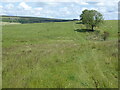 NY8279 : The Pennine Way near Brownsleazes (set of 2 images) by Dave Kelly