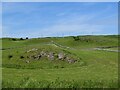 Pasture, Upper Barr