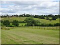 Gospel End Fields View