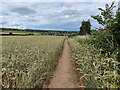 Farmland at High Habberley