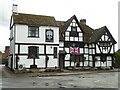 The Old Chestnut Tree, Lower Moor