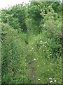 Public footpath close to the Ogmore Vale Extension line west of Pyle