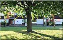 SO4942 : Houses on Aylesbrook, Hereford by David Howard