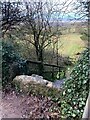 Stone Stile, Cleeve Hill