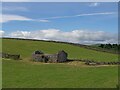 Ruined barn