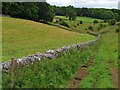 Drystone wall in Woo Dale